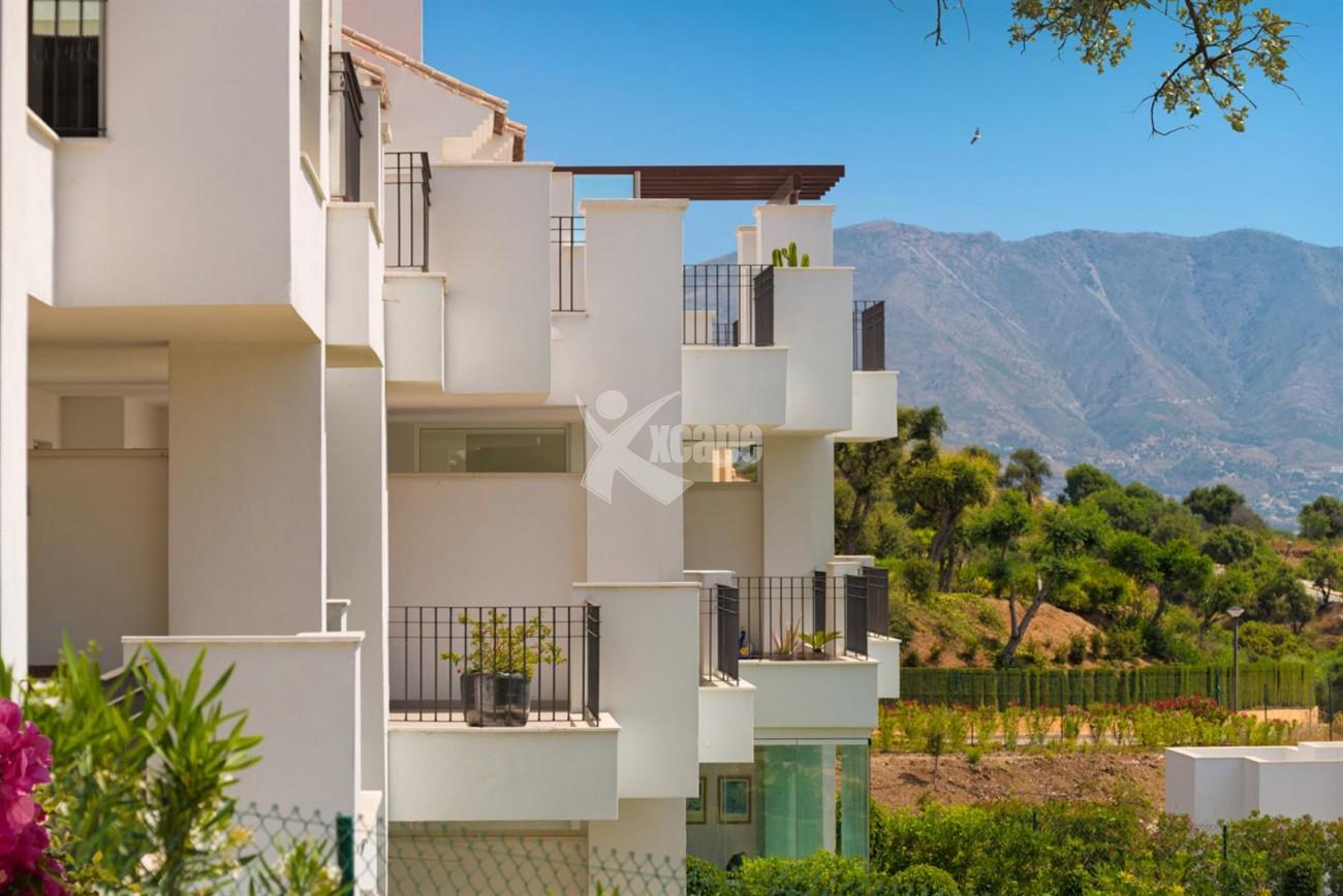 New Apartments for sale Elviria Hills Malaga Spain (12) (Large)